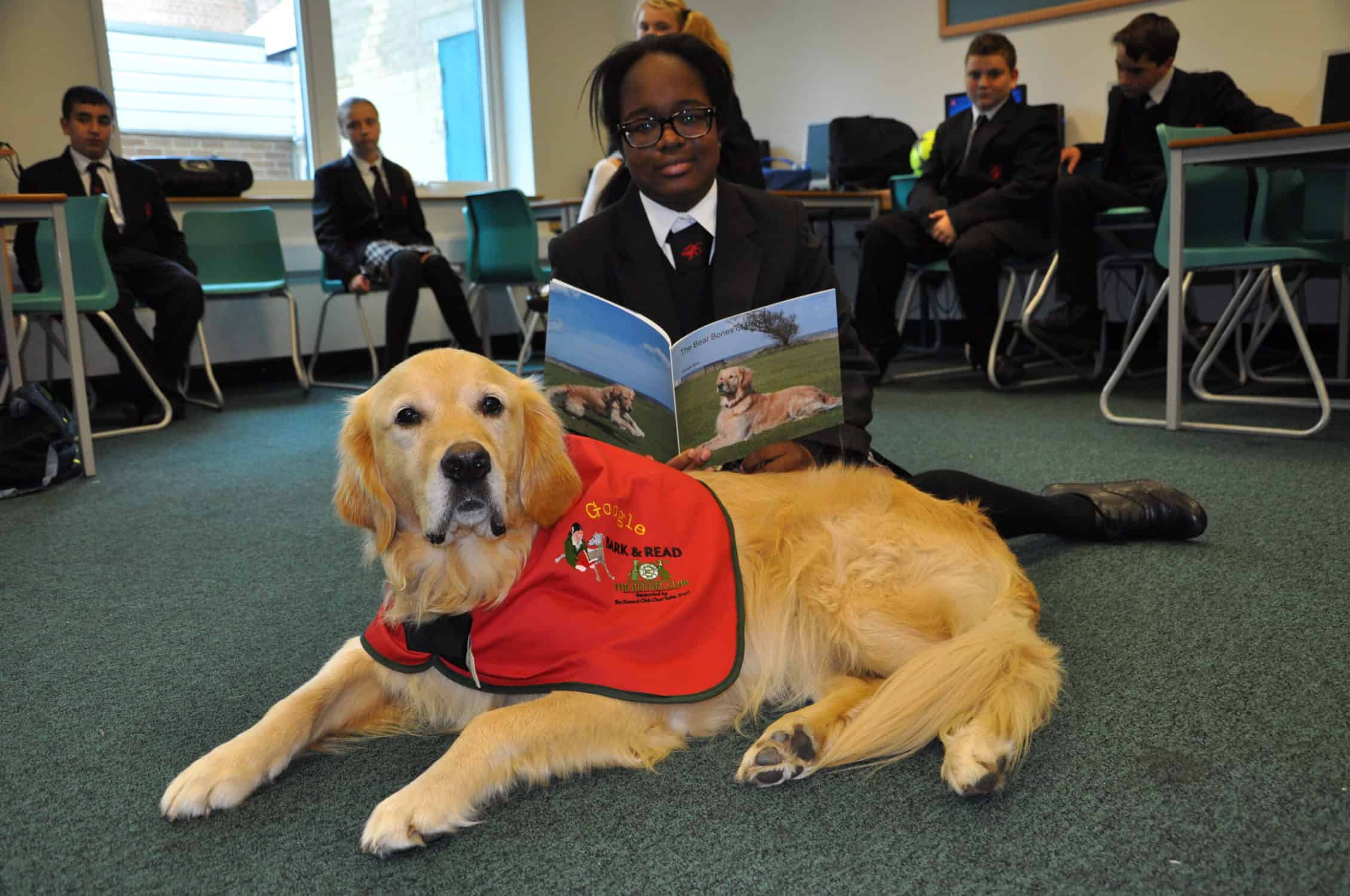 Lorsque les enfants lisent aux chiens, leur capacité de lecture et leur confiance en eux s'en trouvent renforcées. Le Kennel Club explique pourquoi il forme des chiens à la lecture dans les écoles afin d'améliorer l'alphabétisation des enfants.